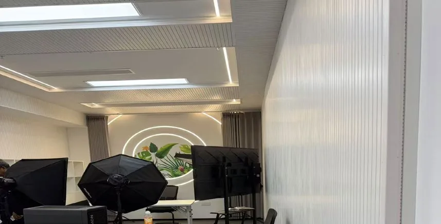Studio dagang langsung Linyi: ruang yang sedia untuk siaran